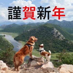 あけましておめでとうございます