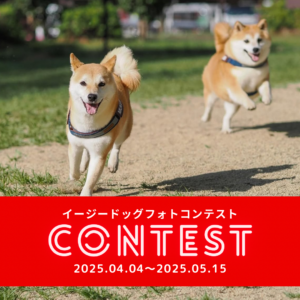 イージードッグフォトコンテスト開催します！(2025.4.4〜2025.5.15)