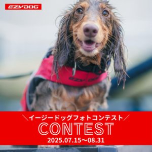 イージードッグフォトコンテスト「#イージー水祭り2025」を開催します！(2025.07.15〜2025.08.31)