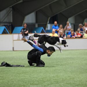 ドッグコミュニティ更新しました！