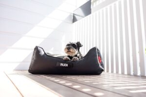 2026年秋冬の新製品情報についてHP更新しました！