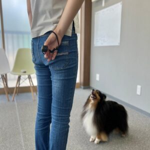 ドッグコミュニティ更新しました！